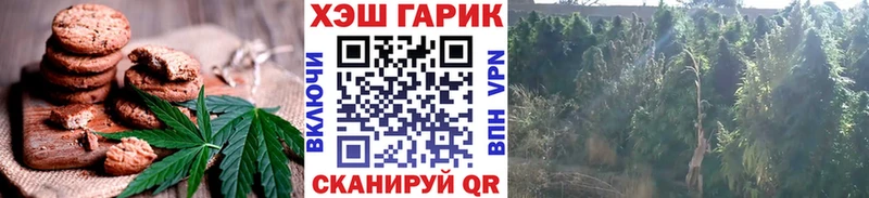 где купить   Полесск  hydra зеркало  Canna-Cookies конопля 