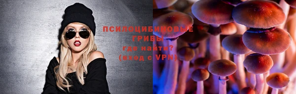 шишки Армянск