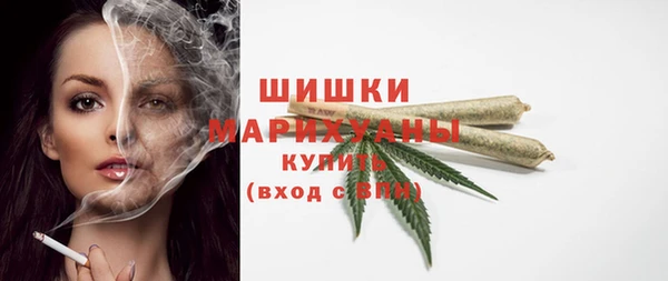 шишки Пересвет