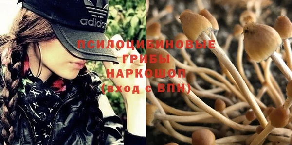 не бодяженный Аркадак