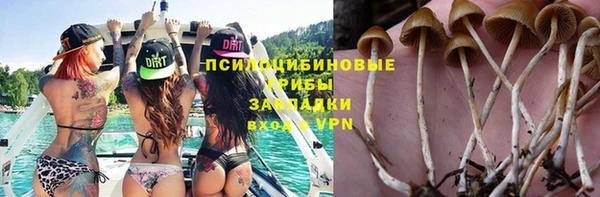 прущая мука Балахна
