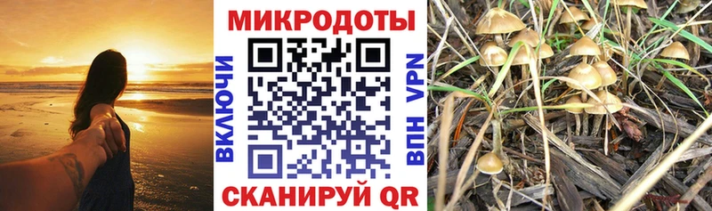 Галлюциногенные грибы ЛСД  kraken онион  Полесск  купить  